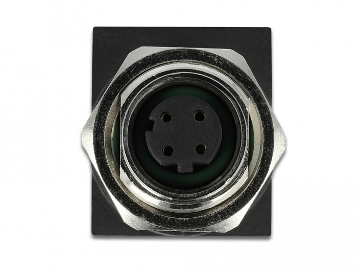 Delock Netzwerkadapter M12 4 Pin D-kodiert Buchse zu RJ45 Buchse #2 
