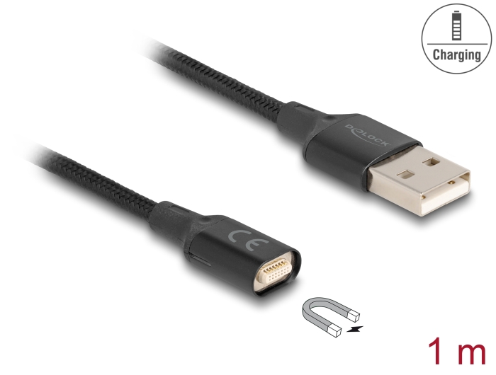 Delock Magnetisches USB-Ladekabel schwarz 1 m #1 