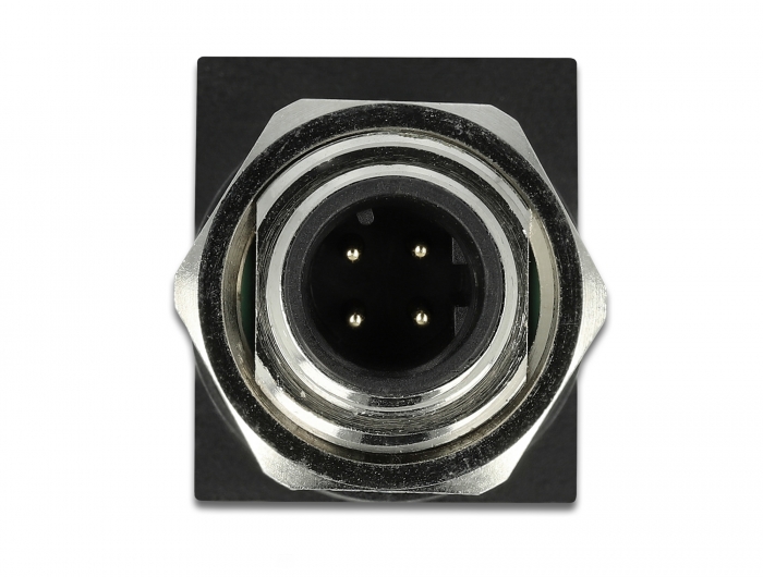 Delock Netzwerkadapter M12 4 Pin D-kodiert Stecker zu RJ45 Buchse #2 