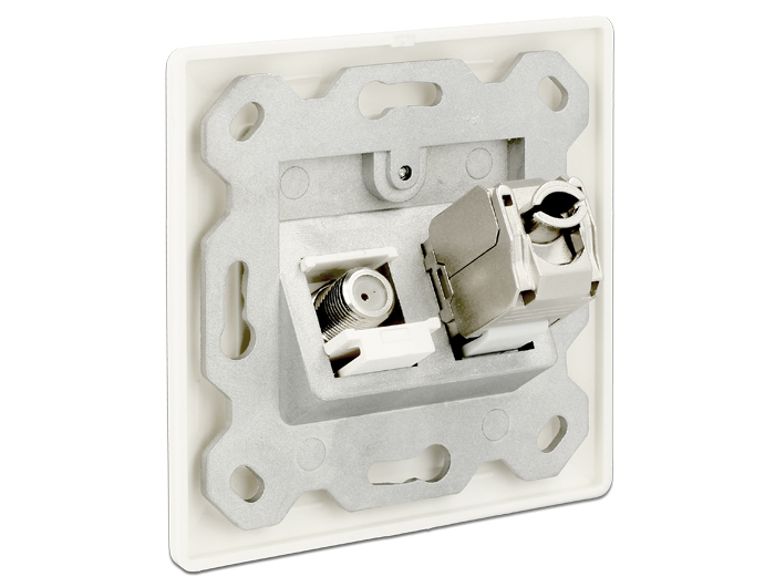 Delock Keystone Anschlussdose 2 Port #4 