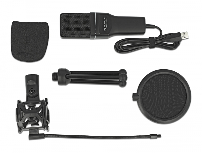 Delock USB Kondensator Mikrofon Set - für Podcasting, Gaming und Gesang #2 