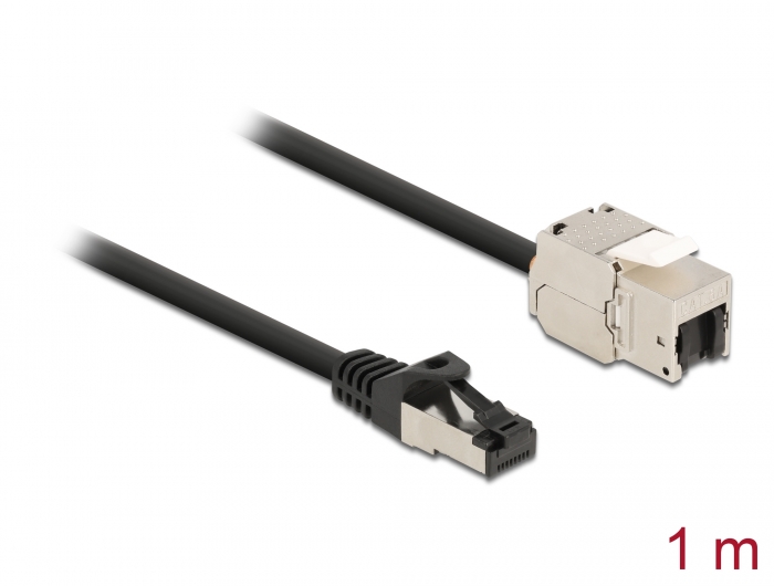 Delock Kabel RJ45 Stecker zu Keystone Modul RJ45 Buchse Cat.6A 1 m schwarz #1 