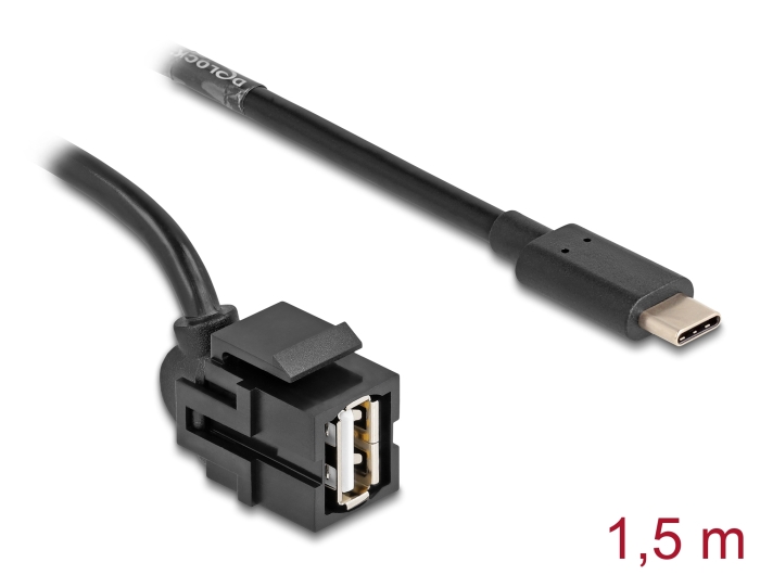 Delock Keystone Modul USB 2.0 A Buchse zu USB Type-C™ Stecker 250° mit Kabel 1,5 m #1 