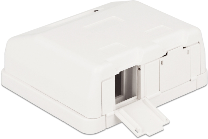 Delock Keystone Leergehäuse 2 Port mit Staubschutz #3 