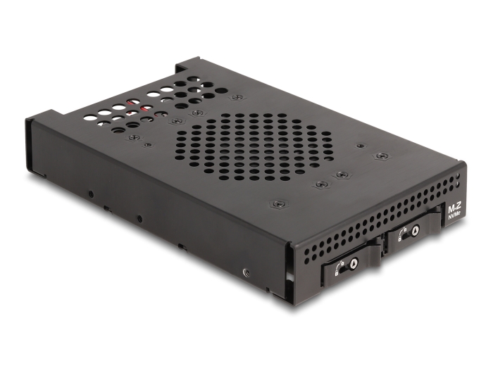 Delock 3.5″ Wechselrahmen für 2 x M.2 NVMe SSD mit Slim SAS SFF-8654 Anschluss #2 